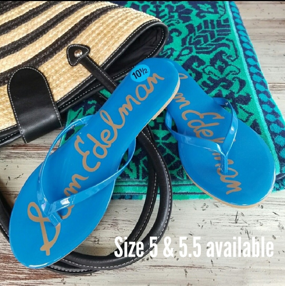 Sam Edelman Oliver Blue Flip Flops